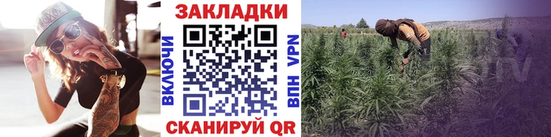 Купить закладку Alpha-PVP  Меф  ГАШИШ  КОКАИН  Ессентуки