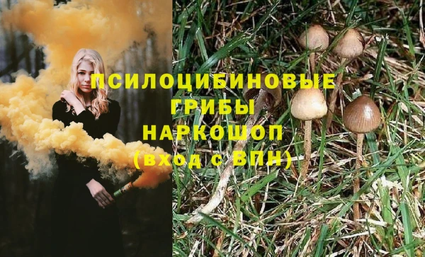 спиды Кодинск