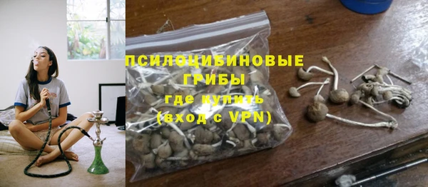 спиды Кодинск