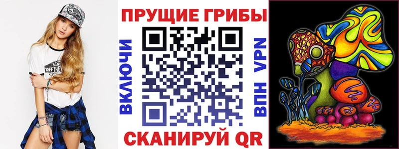 Псилоцибиновые грибы MAGIC MUSHROOMS  Купить  Ессентуки 