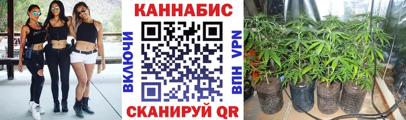 Купить  Ессентуки  МАРИХУАНА LSD WEED 